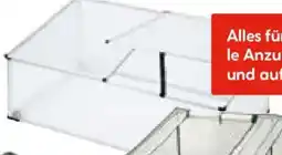 Hellweg WINGART Frühbeet Angebot