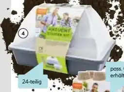 Hellweg Anzucht Starter-Kit Angebot