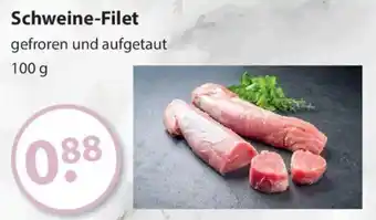 V Markt Schweine-Filet Angebot