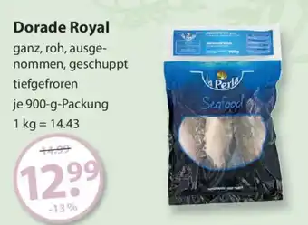 V Markt Dorade Royal Angebot