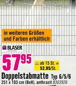 Hornbach BLASER Doppelstabmatte Typ 6/5/6 Angebot