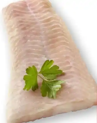 Edeka Steinbeißerfilet Angebot