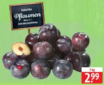 Famila Nord West Pflaumen Angebot