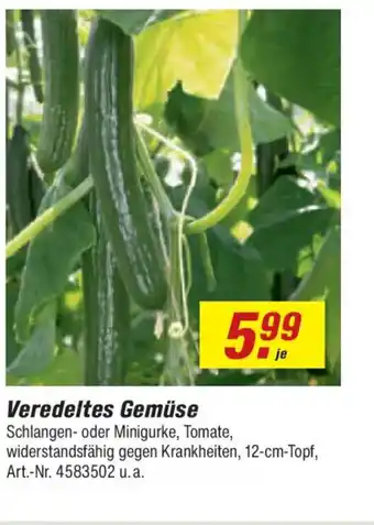 toom Baumarkt Veredeltes Gemüse Angebot