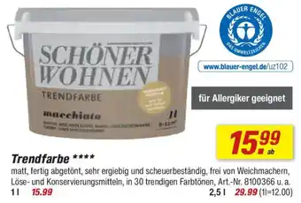 toom Baumarkt SCHÖNER WOHNEN Trendfarbe Angebot
