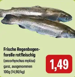Feneberg Frische Regenbogen- forelle rotfleischig Angebot