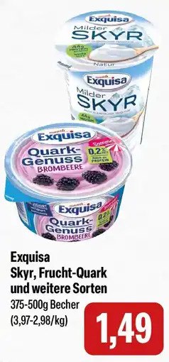 Feneberg Exquisa Skyr, Frucht-Quark Angebot