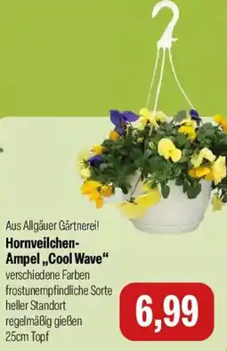 Feneberg Hornveilchen Ampel ,,Cool Wave" Angebot