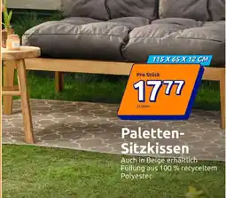 Action Paletten- Sitzkissen Angebot