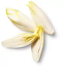 Kaufland Chicoree Angebot