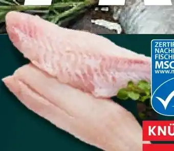 Kaufland Rotbarschfilets Angebot