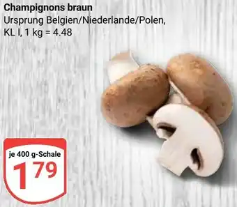 Globus Champignons braun Angebot