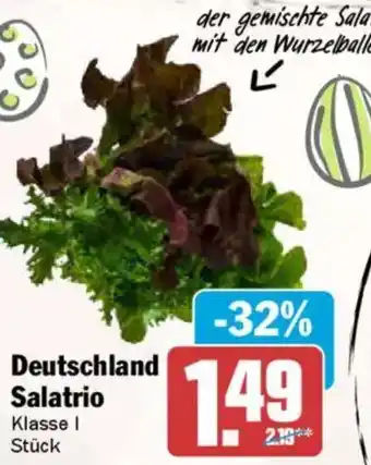 AEZ Deutschland Salatrio Angebot