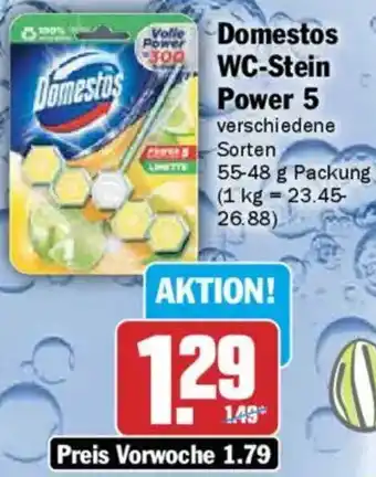 AEZ Domestos WC-Stein Power 5 Angebot