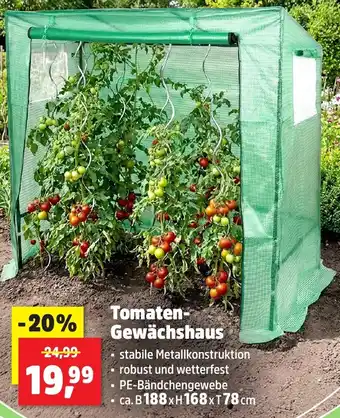 Thomas Philipps Tomaten Gewächshaus Angebot