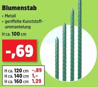 Thomas Philipps Blumenstab Angebot