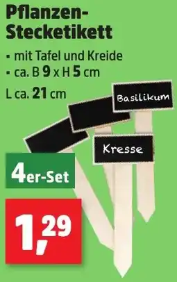 Thomas Philipps Pflanzen Stecketikett Angebot