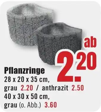 B1 Discount Baumarkt Pflanzringe Angebot