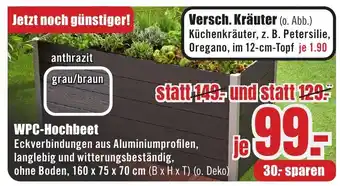 B1 Discount Baumarkt WPC-Hochbeet Angebot