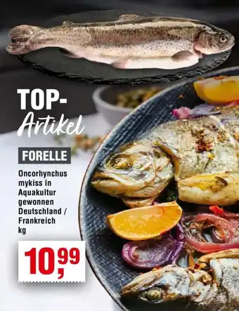 Handelshof FORELLE Angebot