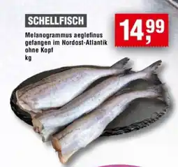 Handelshof SCHELLFISCH Angebot