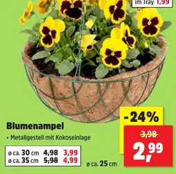 Thomas Philipps Blumenampel Angebot