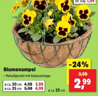 Thomas Philipps Blumenampel Angebot