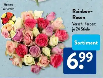 Aldi Süd Rainbow- Rosen Angebot