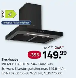 ROLLER Blockhaube MICAN TSHA530TMFSA+ Angebot