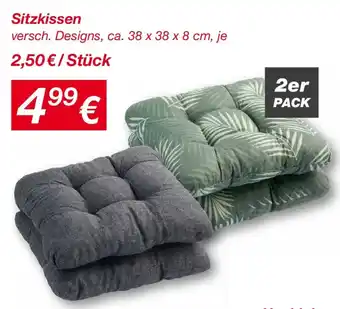Sitzkissen Angebot bei KiK