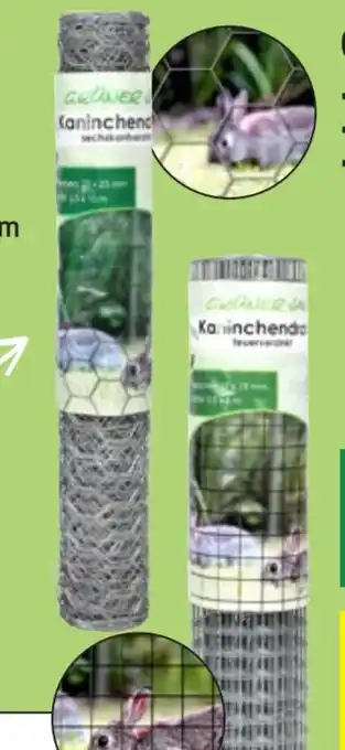 Thomas Philipps Grüner Jan Kaninchendraht Angebot