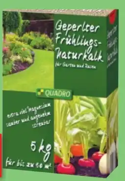 Thomas Philipps Quadro Geperlter Frühlings-Naturkalk Angebot