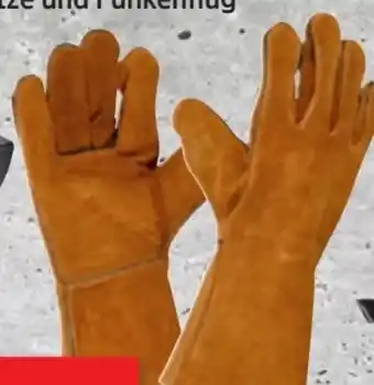 Thomas Philipps Grillhandschuhe Angebot