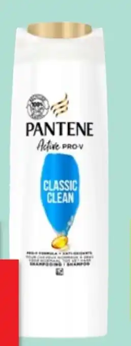 Thomas Philipps Pantene Pro-V Shampoo Angebot