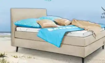 Trends Möbel Sansibar Boxspringbett Poel Angebot