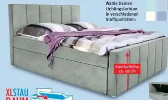 Trends Möbel Boxbett Rio Angebot