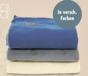 Trends Möbel Sansibar Decke Coast Angebot