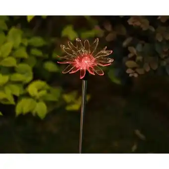 toom Baumarkt Toom Solarspieß Blume Angebot