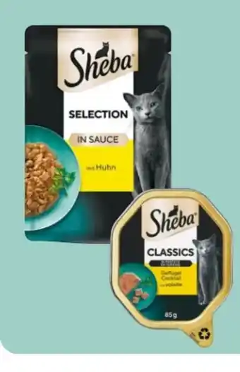 Rossmann Sheba Katzennahrung Angebot