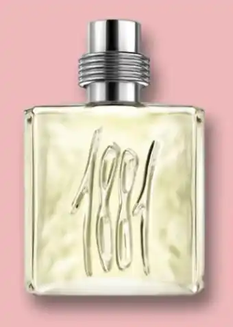 Rossmann Cerruti 1881 Homme EdT Angebot
