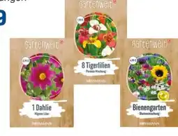 Rossmann Gartenwelt Blumenzwiebeln Angebot