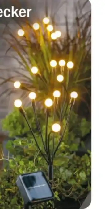 Rossmann Rossmann Ideenwelt Solar-Gartenstecker Angebot