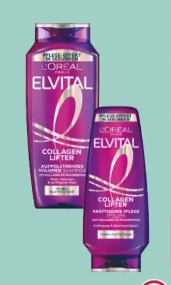 Rossmann L'Oréal Paris Elvital Shampoo Angebot