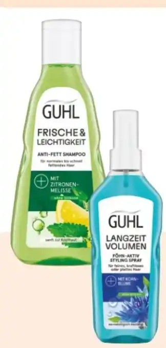 Rossmann Guhl Shampoo Angebot