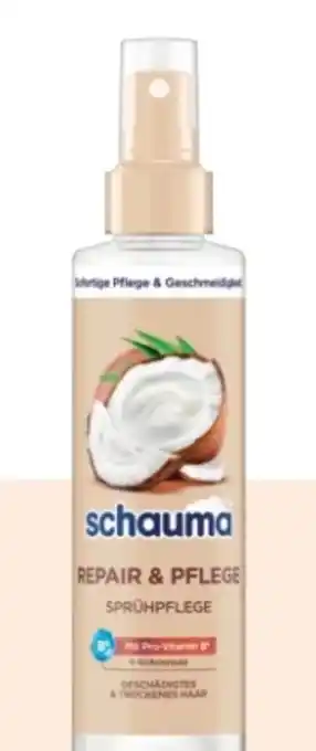Rossmann Schwarzkopf Schauma Sprühspülung Angebot