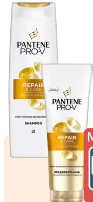 Rossmann Pantene Pro-V Shampoo Angebot