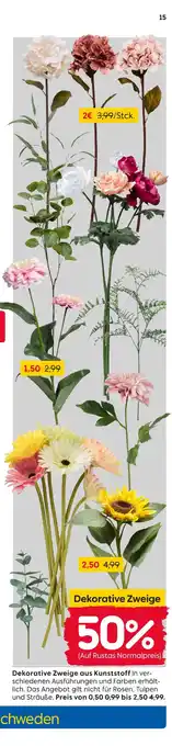 Rusta Dekorative zweige Angebot