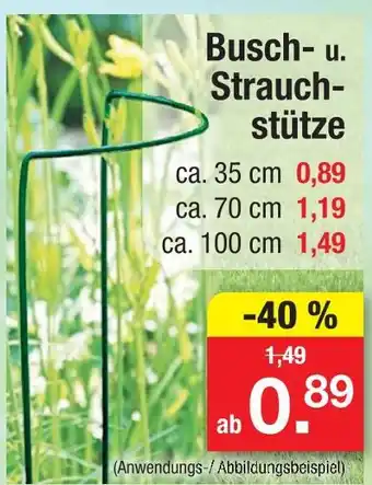 Zimmermann Busch- u. strauchstütze Angebot