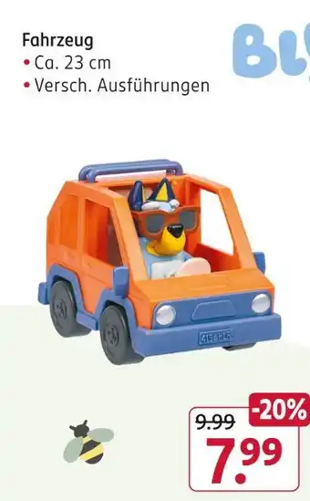 Rossmann Fahrzeug Angebot