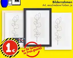 TEDi Bilderrahmen Angebot